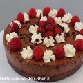 Gâteau-mousse au chocolat et framboises