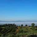 Cartes postales # Toscane