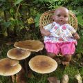 Quelle chipie !