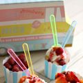 Frozen Yogurt {Le IT livre culinaire de l'été[...]