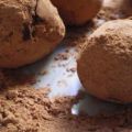 Truffes au chocolat