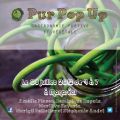 Pur Pop Up, c'est ce dimanche !