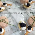 Rillettes aux deux saumons