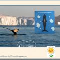 LA MYSTÉRIEUSE BALEINE - DANIEL FROST