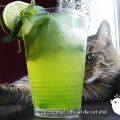 Mojito Midori