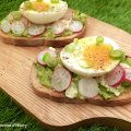 Avocado toast aux radis et oeuf mollet /[...]
