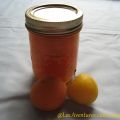 Confiture d'abricots et de prunes jaunes