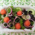 Salade de pastèque et mozzarella