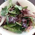 Vinaigrette au parmesan