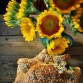 Le pain Van Gogh revisité