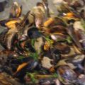 Moules marinières - Mussels in white wine