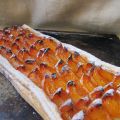 Tarte au mètre aux abricots
