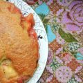 le gâteau brugnon/rhubarbe