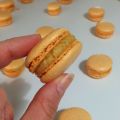 Coques de Macarons