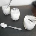 Sorbet au mangoustan et lait de coco (SANS[...]