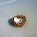 Yaourt à la noix de coco