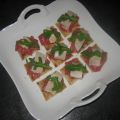 Toasts de brick façon carpaccio de boeuf