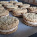 Biscuits Pirate