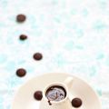 Sauce au chocolat à l'eau (pour glaces,[...]