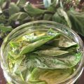 L'huile d'olive au basilic