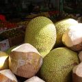Le Jackfruit, la nouvelle alternative à la[...]