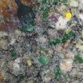 Salade de quinoa aux crevettes