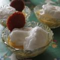 Ile flottante