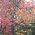 Sur la route des États-Unis (Partie 2) : Les[...]