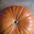 A l'instar du carrot cake, le PUMPKIN CAKE...