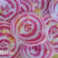 Carpaccio de betterave chioggia au citron