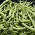 Curry de radis-serpent - Rat-tail radish curry