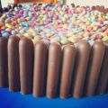 Gâteau d'anniversaire aux fingers et smarties[...]