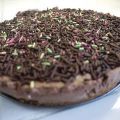 Cheese cake au chocolat et aux speculoos (sans[...]