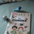 Observer et reconnaître les oiseaux de façon[...]