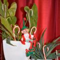 Les coups du lutin deuxième semaine