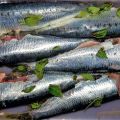 SARDINES MARINEES AU BASILIC A LA PLANCHA