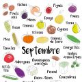 Calendrier des fruits et légumes de saison -[...]