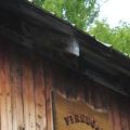 Finnegan's market