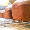 ce matin les petits gâteaux version cacao