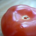 Sauce tomate maison rapide