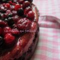 CHEESECAKE FRUITS ROUGES-VANILLE sur SPECULOOS