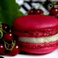 Les ateliers vidéo de Macaron - Passion