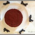 Gâteau double chocolat