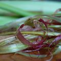 rouge ou verte c'est à vous de voir