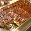 Recette de gâteau vanille chocolat express[...]
