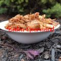 Porc effiloché (pulled pork)