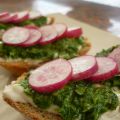 Tartines de pesto de fanes & radis