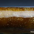 Bûche réglisse et poires