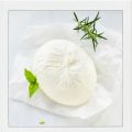 Burrata : infos pratiques, recettes et bonnes[...]