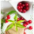 Faites vos fruits au sirop vous même avec les[...]